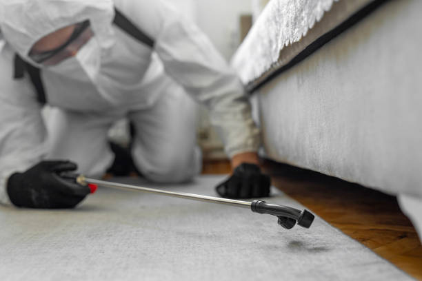 Professional Termite Control technician working in Early, TX