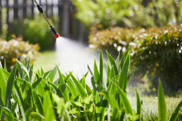 24/7 Emergency Termite Control experts in Early, TX
