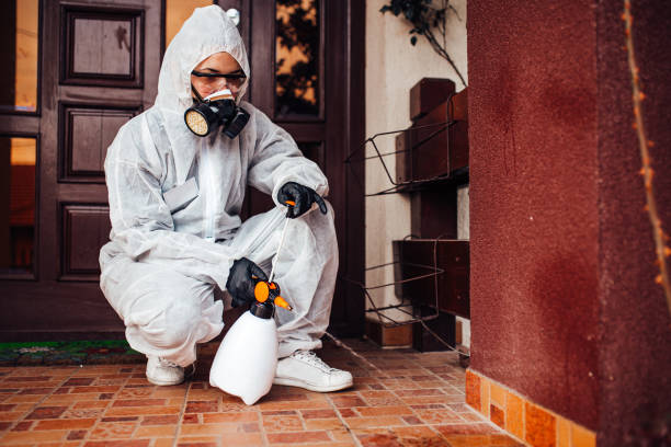 Reliable Termite Control contractor in Early, TX by Nex Pest Control